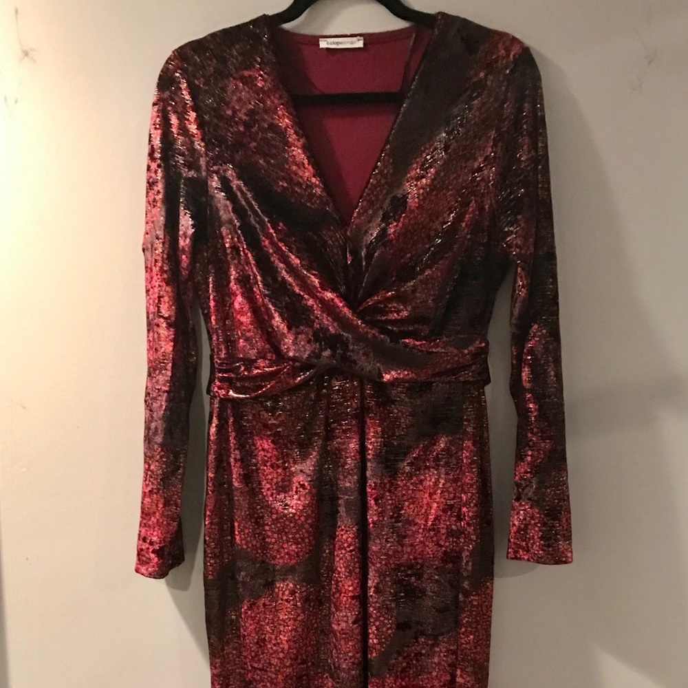 NWOT MEDIUM EUROPEAN VELVET DRESS
